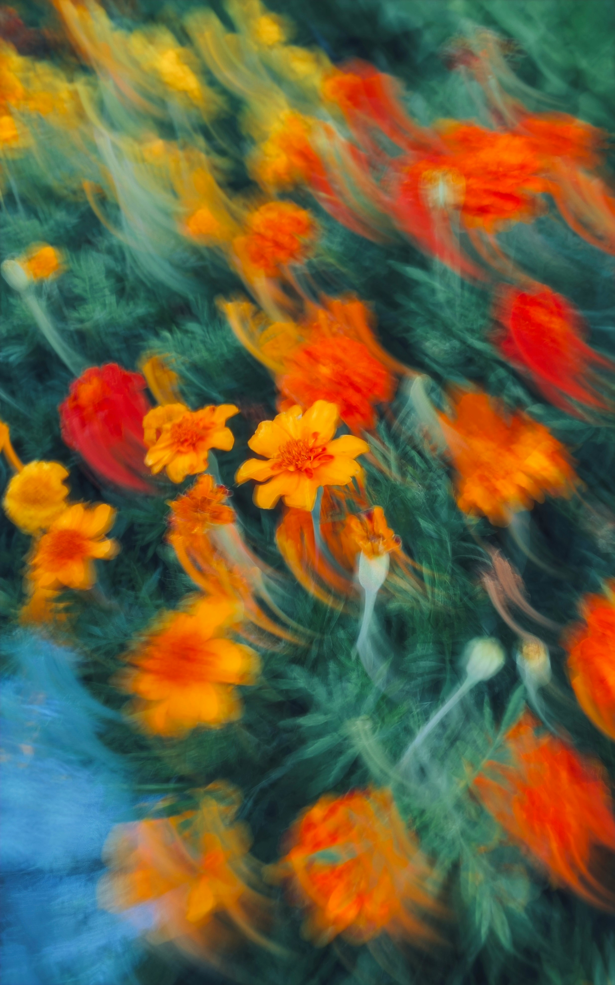 Motion blurred flowers